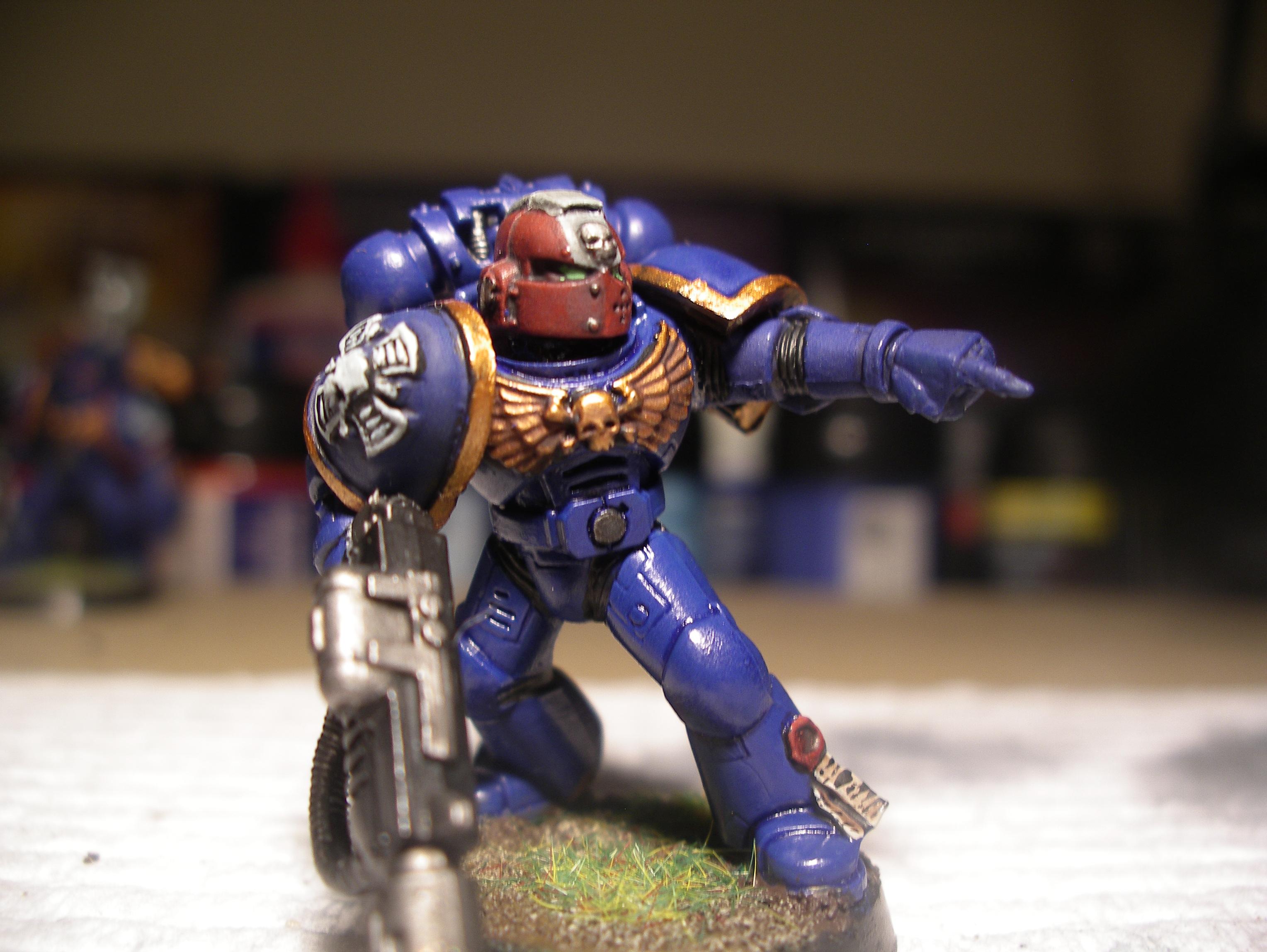 finished veteran 2 - finished veteran 2 - Gallery - DakkaDakka